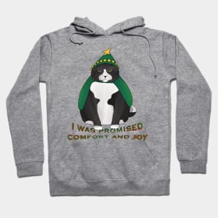 Holiday cat Hoodie